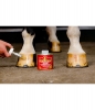 Hoof Care